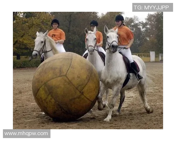 刘敏独家分享羽毛球技巧与心得助你提升竞技水平与乐趣 刘敏独家分享羽毛球技巧与心得助你提升竞技水平与乐趣
